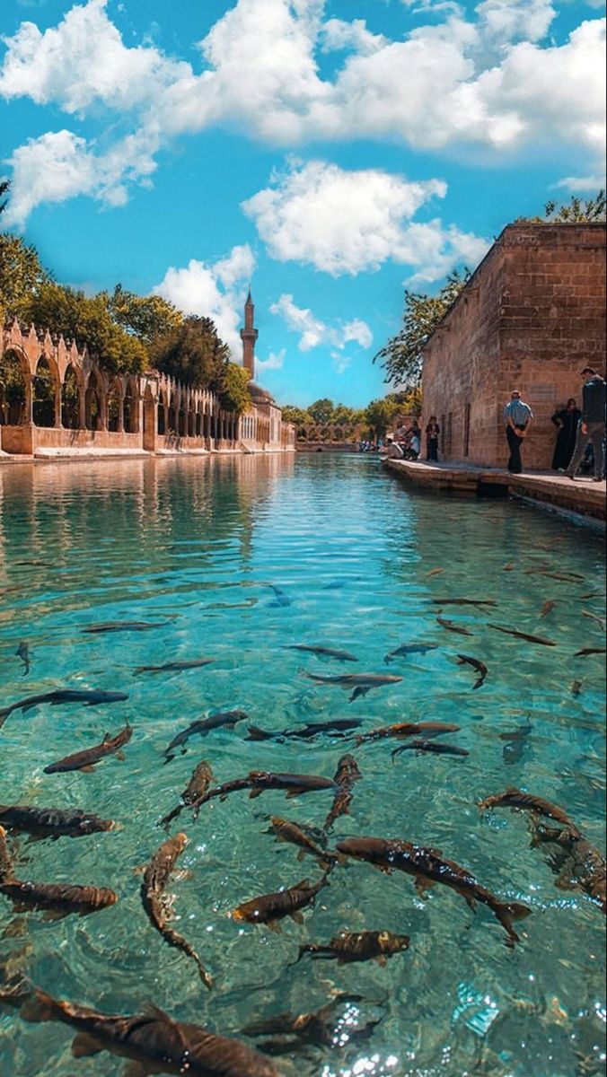 Güney Anadolu Bölgesi Turları