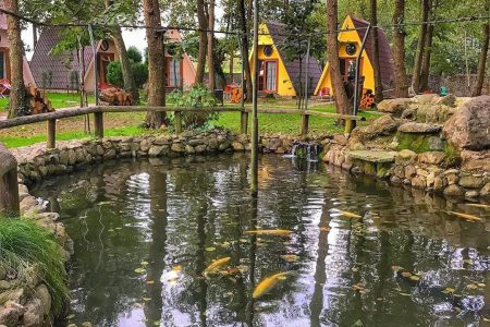 ANKARA ÇIKIŞLI SAPANCA MAŞUKİYE ORMANYA TURU