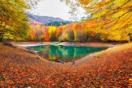 GÜNÜBİRLİK ANKARA ÇIKIŞLI BOLU YEDİGÖLLER GÖLCÜK TURU